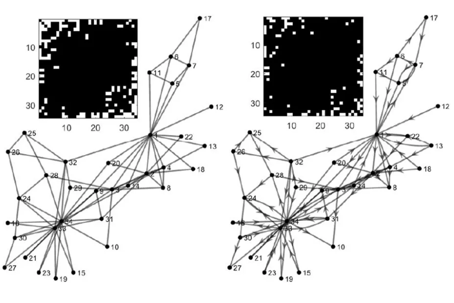 Figure: Large-scale Nonlinear Granger Causality for Inferring Directed Dependence from Short Multivariate Time-Series Data